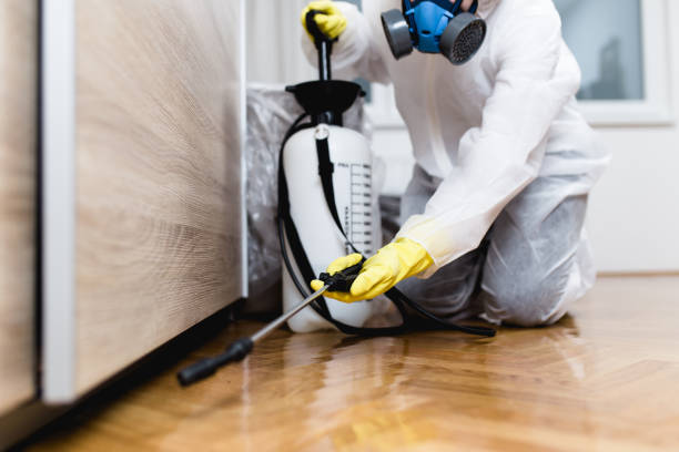Best Mosquito Control Services  in Citrus, CA