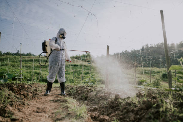 Best Mosquito Control Services  in Citrus, CA
