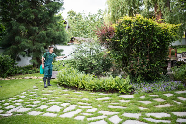 Trusted Citrus, CA Pest Control Experts