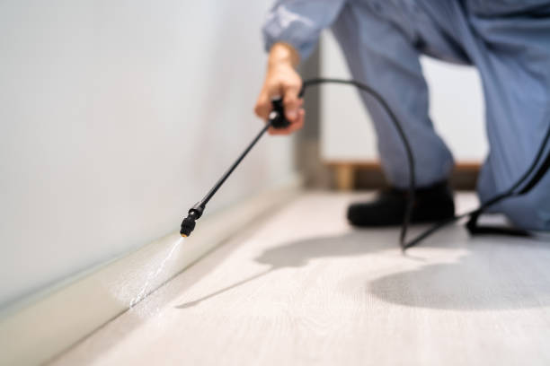 Pest Control for Restaurants in Citrus, CA