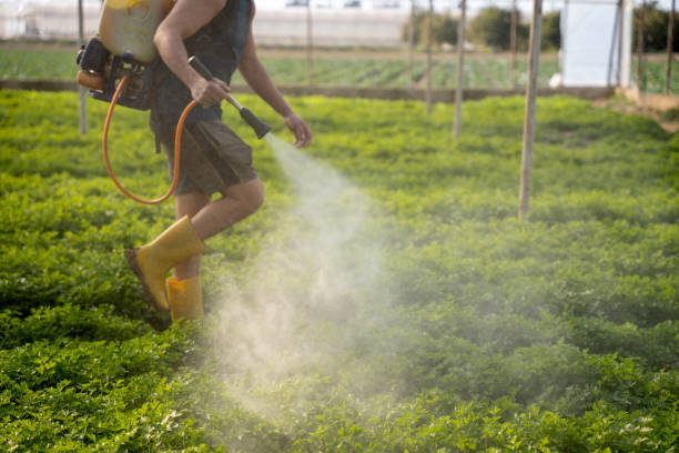 Best Emergency Pest Control  in Citrus, CA