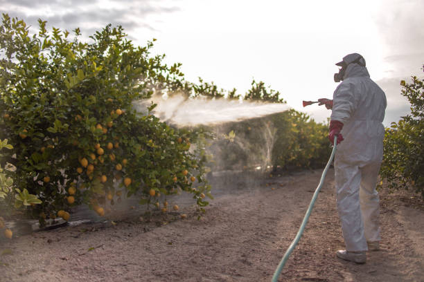 Best Affordable Pest Control Services  in Citrus, CA