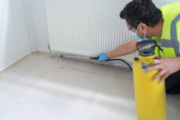 Best Pest Control Near Me  in Citrus, CA