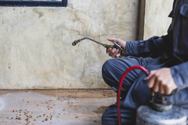 Best Residential Pest Control  in Citrus, CA