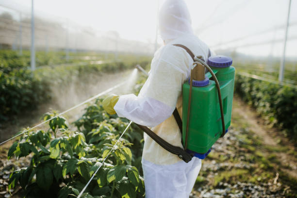 Pest Control Cost in Citrus, CA